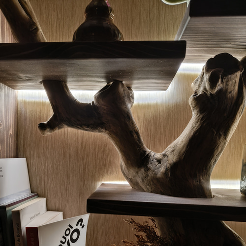 枝の棚 流木 本棚 シェルフ LEDライト 付き 無垢材 絵本棚 置物用棚 棚