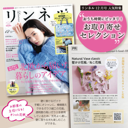 感謝を込めて280円OFF【フック付き壁掛け花瓶/さんかく】倒れない花瓶で話題！ 3枚目の画像