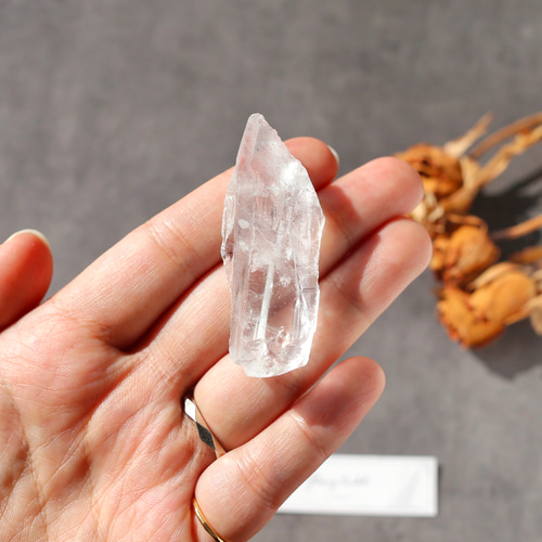 ピュアレイ レムリアンルーツ 原石 クリスタル 天然石 水晶 鉱物 一点