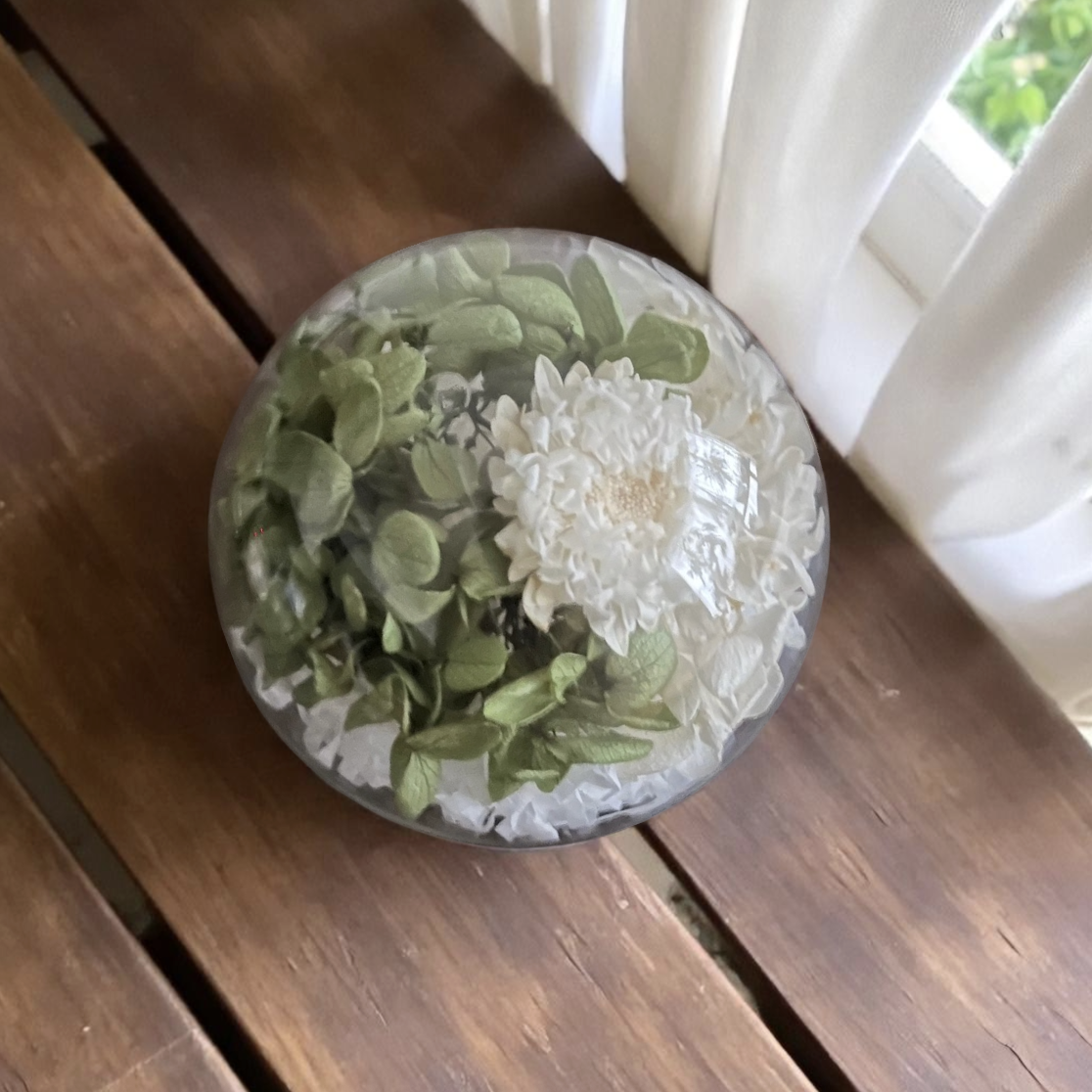 ガラスドーム アンティーク紫陽花グリーン＆ホワイト アスター／コルク(Black)ドライフラワー