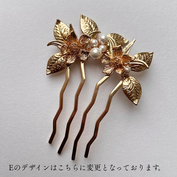  第5張的照片