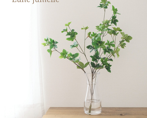 6c77fe7d221a95b5663c78817506ef