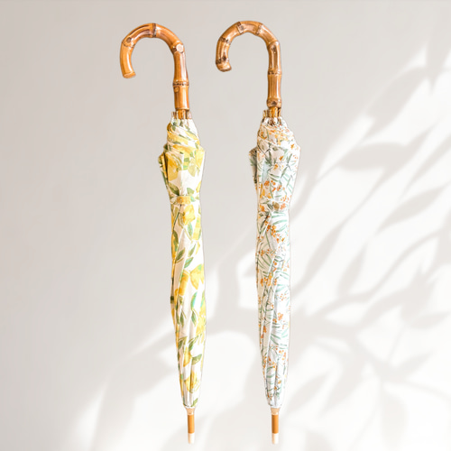 長いフレッシュミモザ50cm 生花】長作園の真珠葉ミモザアカシア 50cm 商品説明を必ずご確認下さい