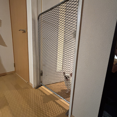 大切な愛犬を優しく仕切る手作りバリケード』自立式 アメリカン