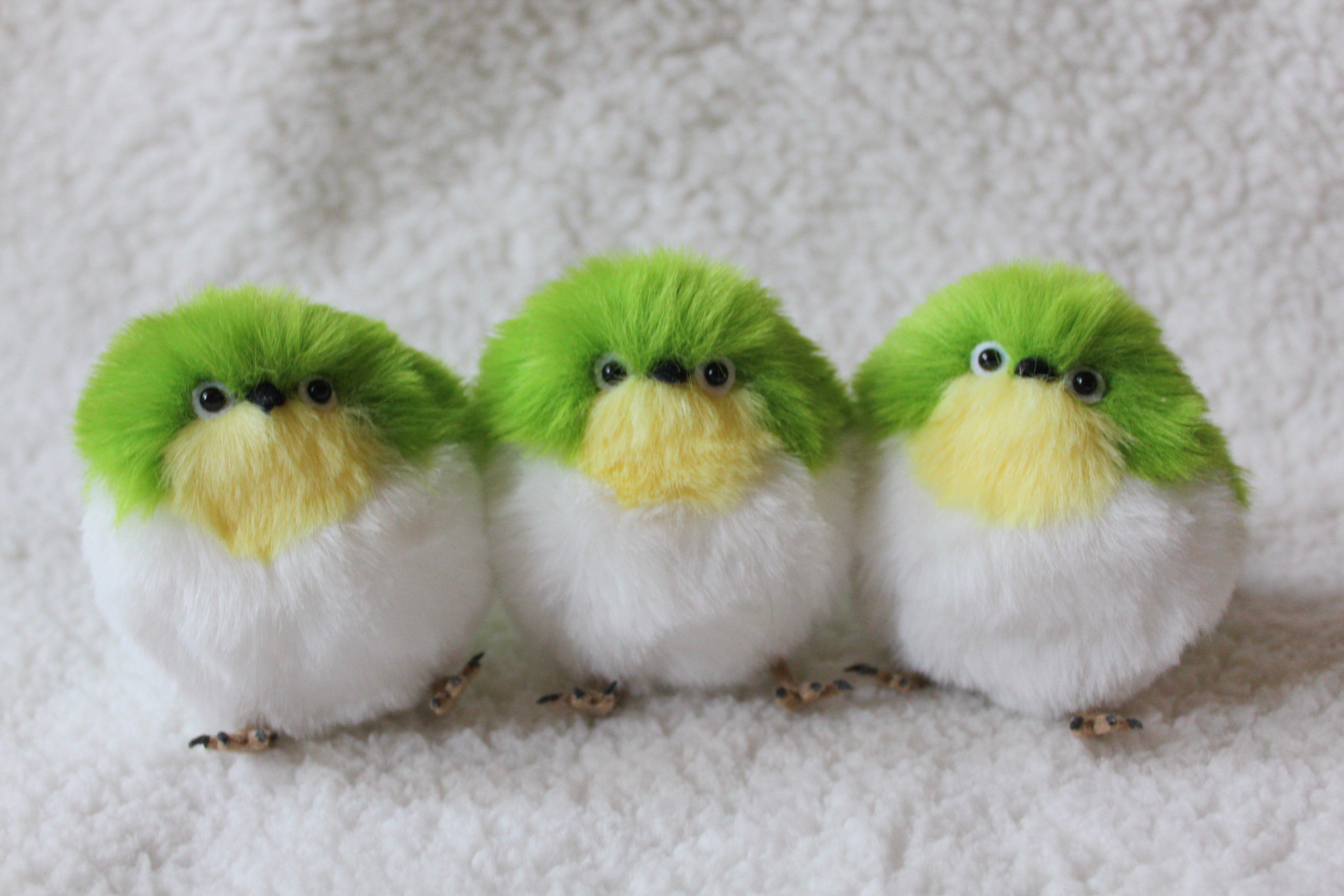 まんまるメジロ