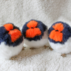 ハロウィン ステラルーSサイズ☆オレンジコスチューム☆オレンジケープ