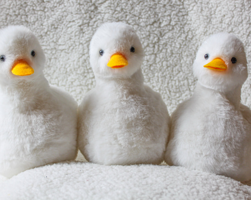 5c167f0f2d87d0a1523a69330c2553