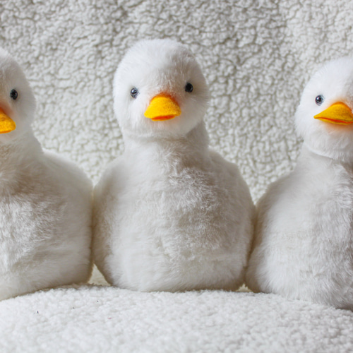 もっちりアヒル ぬいぐるみ 星雲 通販 19270593｜Creema(クリーマ