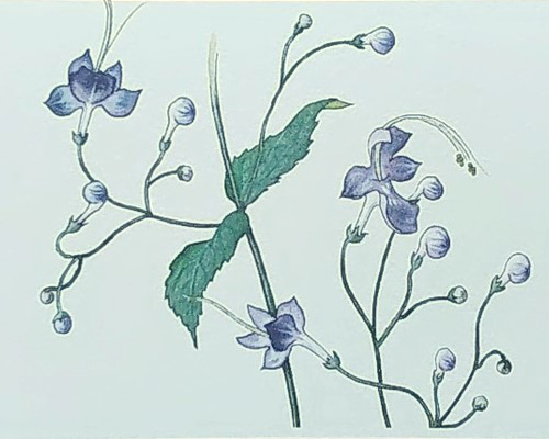 2498997724737ec42e84dbd46eeb43