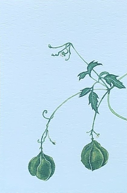 【原画】草花の詰め合わせ