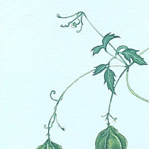 手書き絵画 963bc17d797d0b264fd0398b745a5c