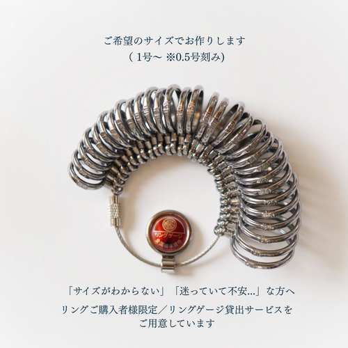 誕生花 (選べる4種)》フラットリング SV950 シルバー ピンキーリング