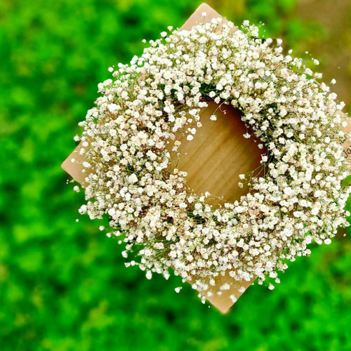 Gypsophila】カスミソウのドライフラワー ナチュラルリース