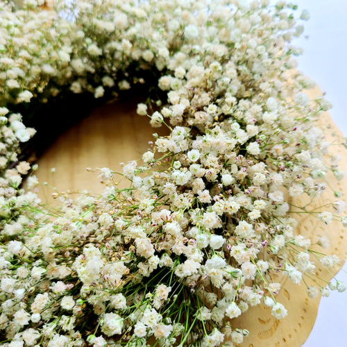 Gypsophila】カスミソウのドライフラワー ナチュラルリース