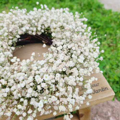 Gypsophila】カスミソウのドライフラワー ナチュラルリース