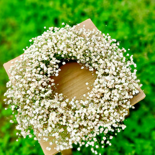 Gypsophila】カスミソウのドライフラワー ナチュラルリース