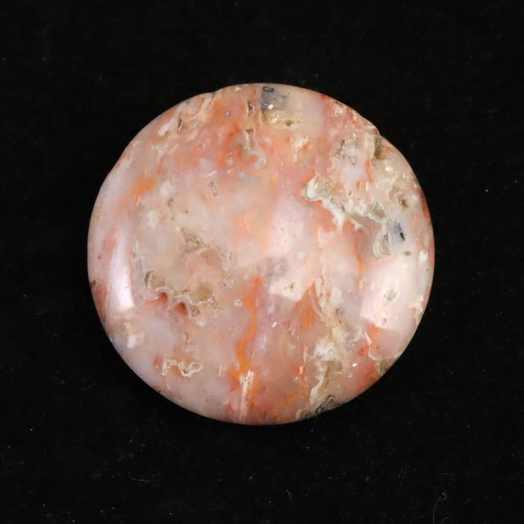 H&E社 シナゼツ  30mmソーサー  10.9g #72997