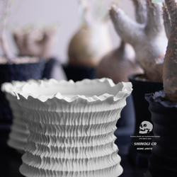 塊根植物 鉢 植木鉢 Adv-055M(120×75) Erosion cr おしゃれ 多肉 作家