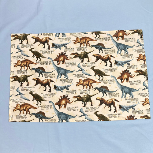 234B 恐竜図鑑 アイボリ ランチョンマット 1枚 40×50 小学校 給食ナ 234B 恐竜図鑑 アイボリ ランチョンマット 1枚 40×50 小学校