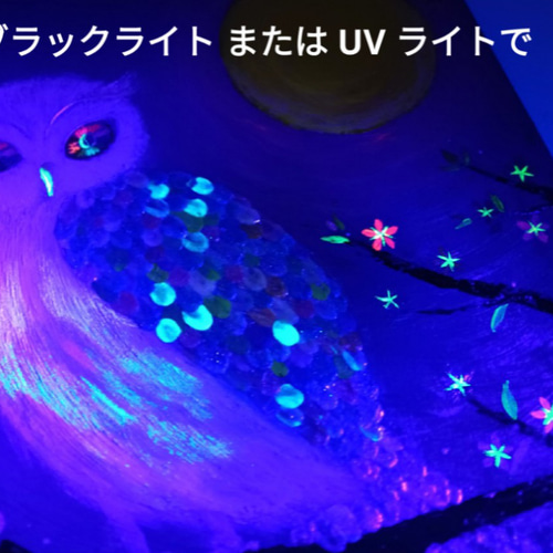 風水吉祥幸せ絵画☆奇跡の虹光梟〜幸せを呼び願いを叶える