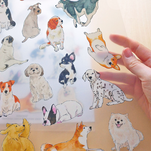 A4クリアファイル 犬 その他雑貨 ポンチセ 通販 19275911｜Creema