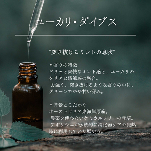 お試し精油1ml】オーストラリア産天然アロマオイル サンプル｜100