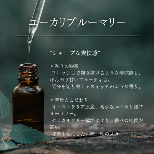 お試し精油1ml】オーストラリア産天然アロマオイル サンプル｜100