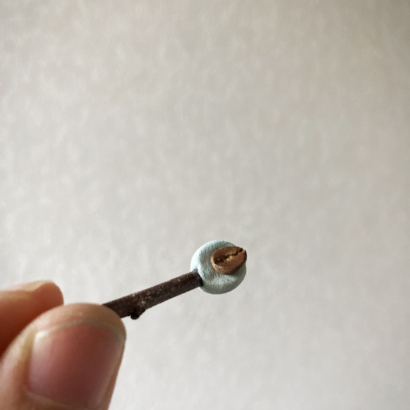  第7張的照片