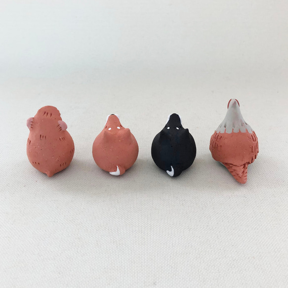  第8張的照片