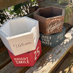 手作り木箱の多肉寄せ植え(送料無料) その他インテリア雑貨 little