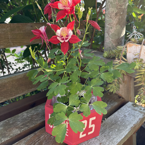 ウッドプランター 六角形 鉢カバー その他インテリア雑貨 工房木咲く