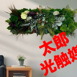 光触媒 人工観葉植物 ウォールグリーン フェイクグリーン 壁掛け59215