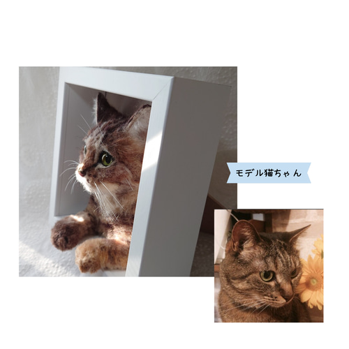 うちの子 羊毛フェルト 猫 オーダー フレーム 羊毛フェルト haruhi