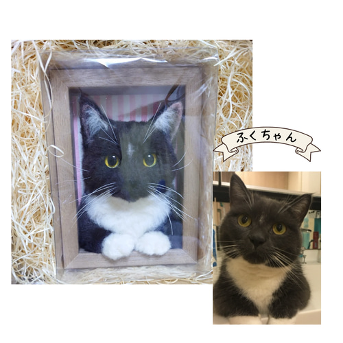 うちの子 羊毛フェルト 猫 オーダー フレーム 羊毛フェルト haruhi