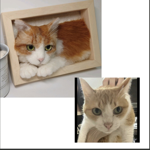 うちの子 羊毛フェルト 猫 オーダー フレーム 羊毛フェルト haruhi