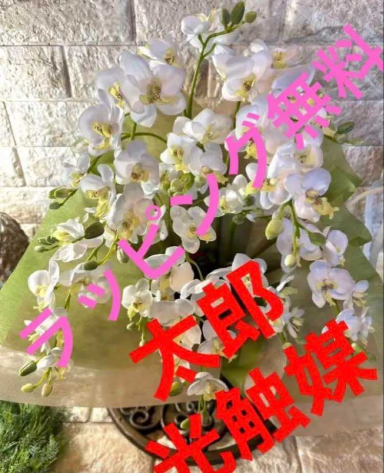 光触媒　人工観葉植物　ウォールグリーン　フェイクグリーン　ミニ胡蝶蘭483636