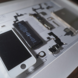 iPhone 5s White 分解アート 標本アート 一点もの iPhone5s White 分解アート 標本アート 一点もの その他アート