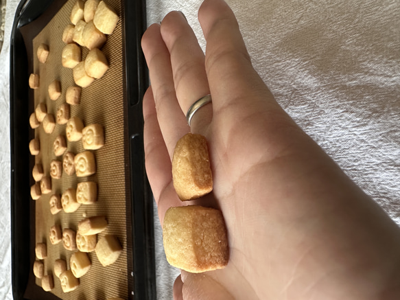 １.５cmのキューブ型が一気に作れるクッキー型 4枚目の画像