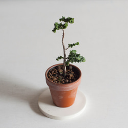 7434be3fd1bf1aacf6645f50c716ae