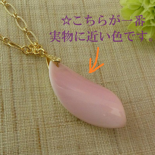 【blue.ks】 クィーンコンクシェルの花弁ネックレストップ 楽天市場】コンクシェル ネックレスの通販