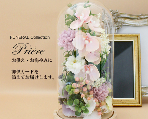 4c56bcf8a6bc9ddca607564a756812