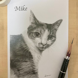 鉛筆画　オーダー画面 思い出になる鉛筆画オーダー 絵画 Roy portrait 通販 12348855
