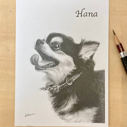 オーダーメイド サンプル 犬の絵 鉛筆画 絵画 ENPITSUYA 通販