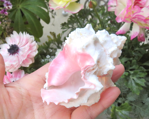 New♡チェコseries＊ミルキーピンク×メタリックピンク♡ jewel planet 公式サイト / 《DIAMOND MARKET》ピンクダイヤモンド