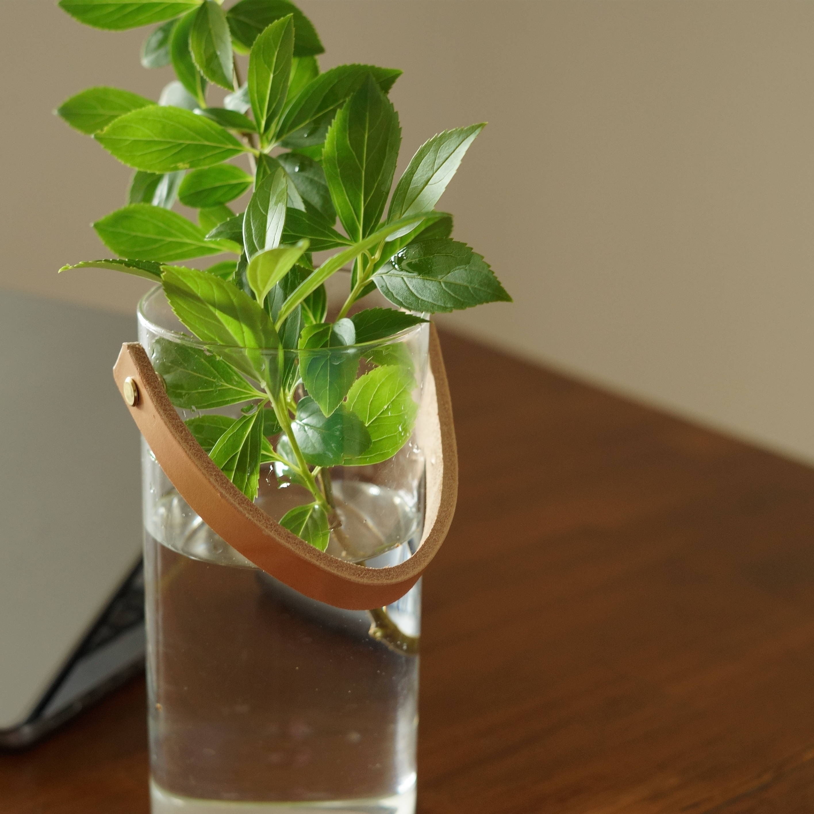 【本革持ち手付き】ガラスのフラワーベース｜ヌメ革×真鍮リベット｜一輪挿し・枝もの対応・インテリア雑貨に