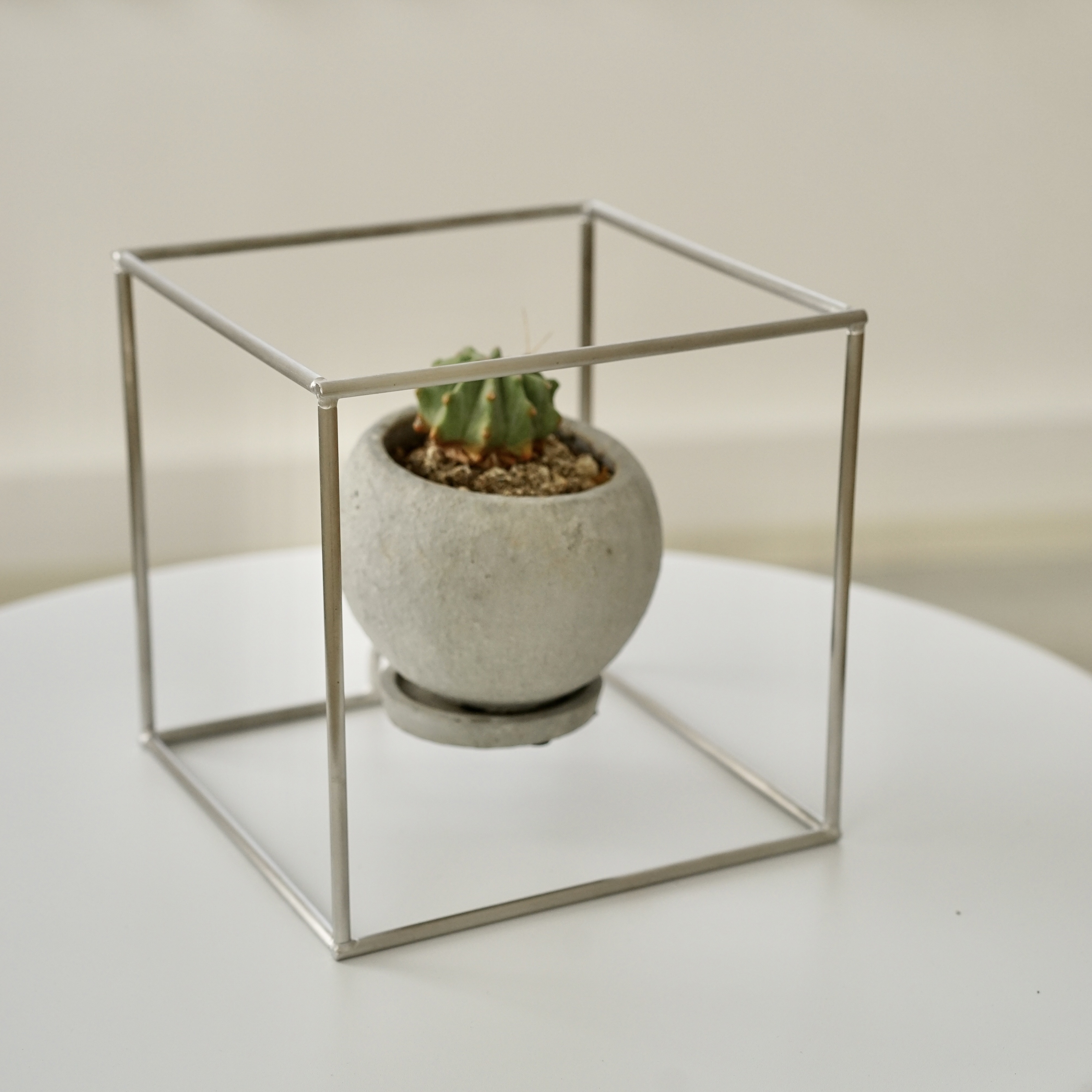浮いたように見える台座(花台) ステンレス多肉植物 アガベ プランツ 塊根植物 観葉植物