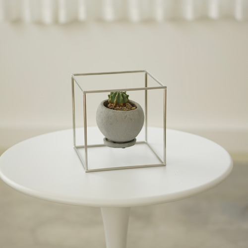 浮いたように見える台座(花台) ステンレス多肉植物 アガベ プランツ