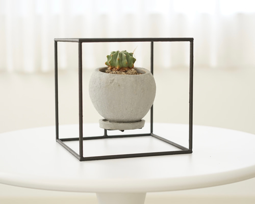 78687b0be3923277c50607f2293996