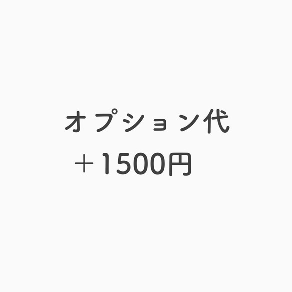 オプション＋1500円 1枚目の画像
