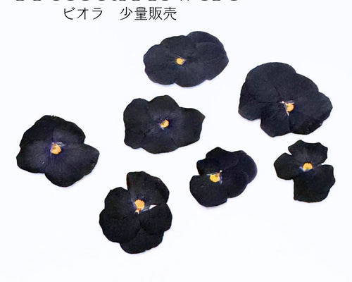 516506cc1da88fd71bd57e10a07e01